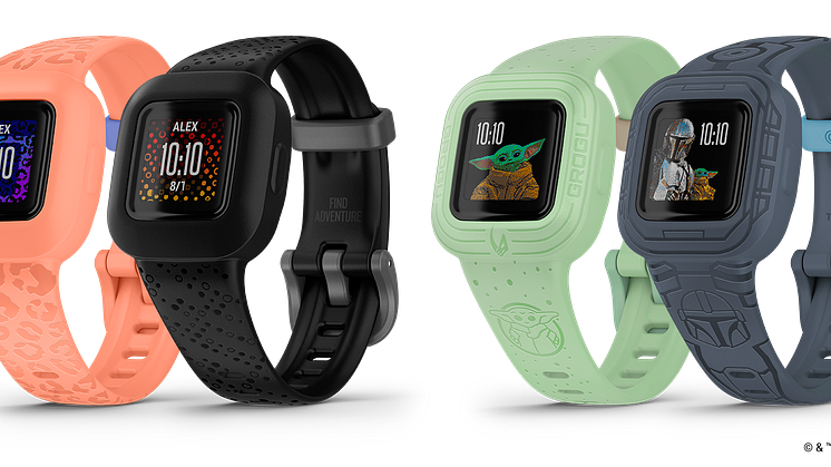 Garmin_SW_vivofitjr3