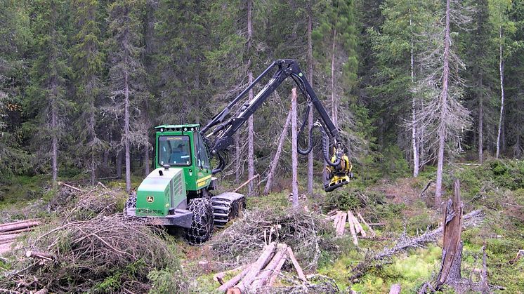 KSLA:s Klimatgrupp för bioenergi har sammanfattat sitt arbete i en rapport. Foto: Rolf Björheden.