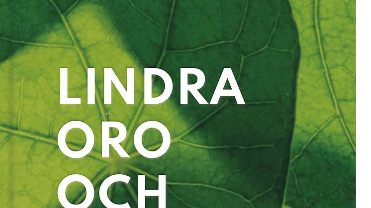 Lindra oro och ångest_omslag