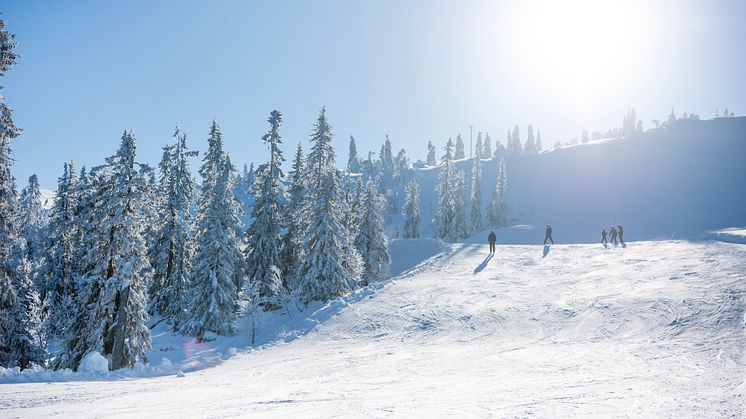 Stöten i Sälen - vackra vyer över fjället 2425