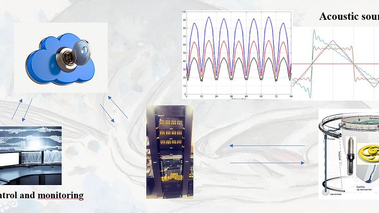 the technical structure of the acu lice system