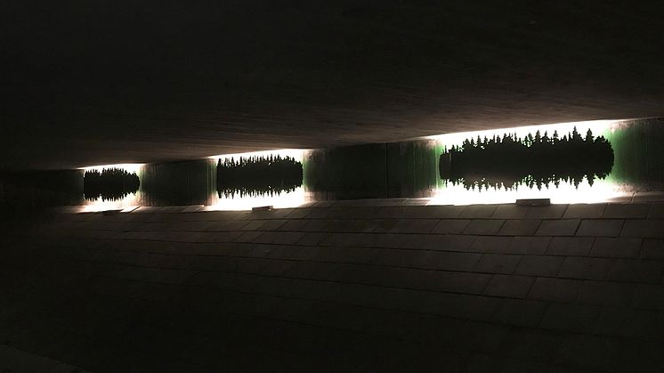 Ljud och ljus med naturtema. Den nya gestaltningen i tunneln är framtagen av konstnären Pia Männikkö i samarbete med White arkitekter. Foto: White arkitekter