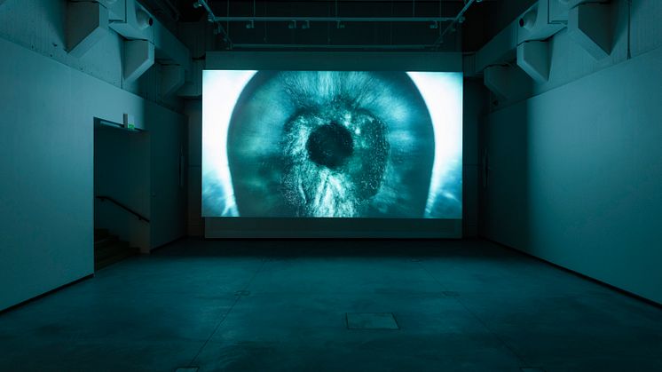 Cyprien Gaillard "Overburden" på Accelerator 2019.