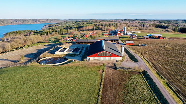 Jordbruksverket och Tillväxtverket möjliggör enklare miljöprövning för företag med djurhållande verksamhet