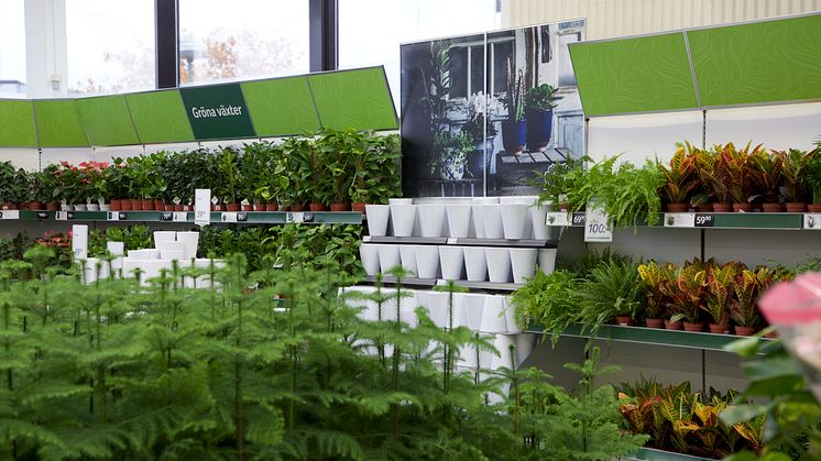 Blomsterlandet öppnar ny butik i Södertälje