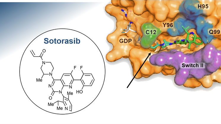 Lumyras (sotorasib) är en first-in-class småmolekylhämmare som specifikt och irreversibelt binder till KRAS G12C via den cysteinaminosyra som ersätter glycin när mutationen inträffar. 