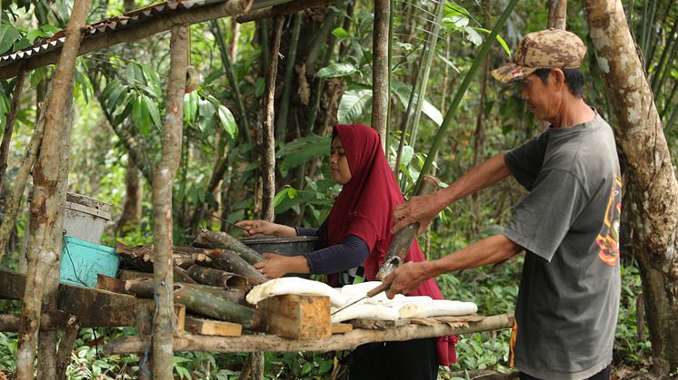 Sustainable Rubber Supply Chain_Continental_GIZ Canopy Indonesia_© GIZ_Canopy Indonesia.jpg
