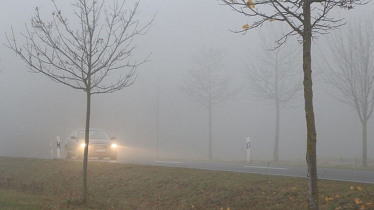 Die Benutzung von Nebelscheinwerfern ist reglementiert. Foto: ARCD
