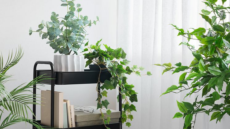 Rusta_2024_S3_Artificial_plants_cropped-I.jpg