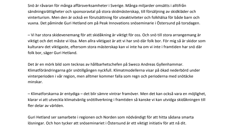 Snöseminariet: ”Skidåkningen som kulturarv är viktigast”