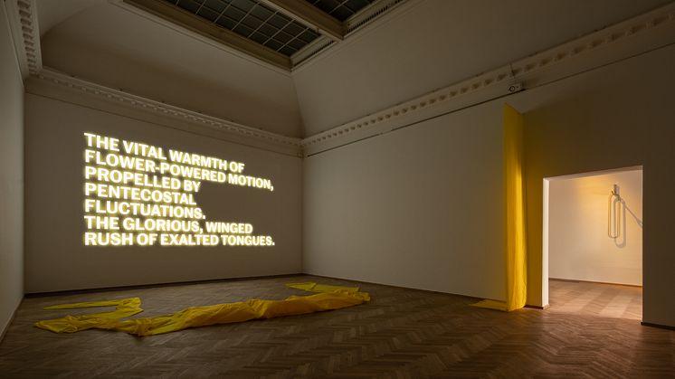 Lea Porsager, MIGHTY RUSHED EXPERIMENT, 2020. FULL OF BEANS, 2020. O LICK FORK, 2020.