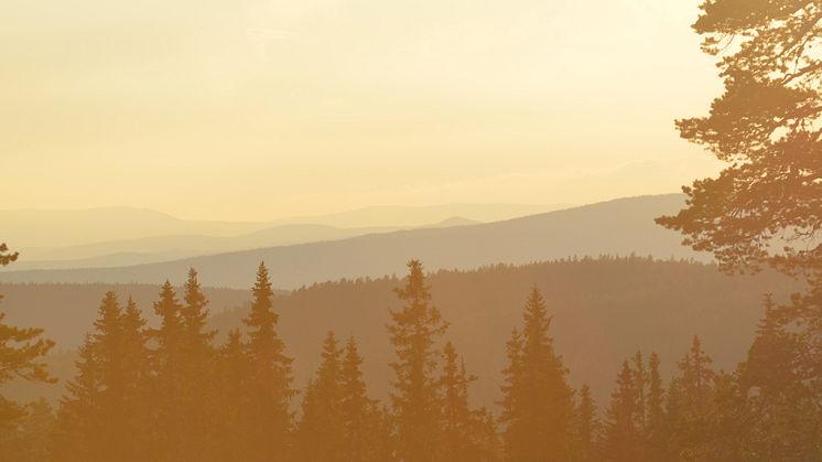 Västgård game fair 26-28 juli
