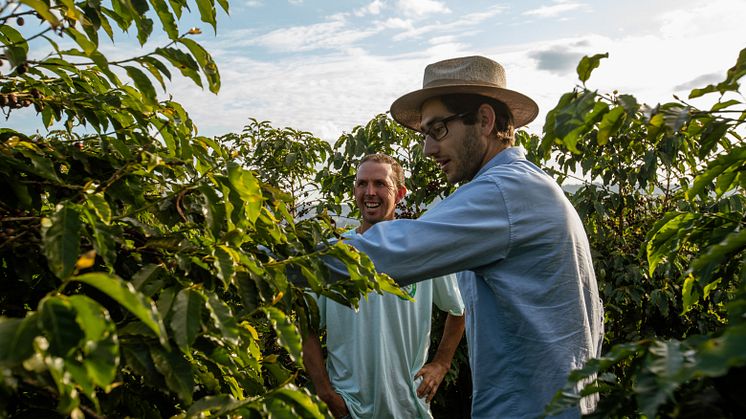 Kaffefarmer på sin kaffemark