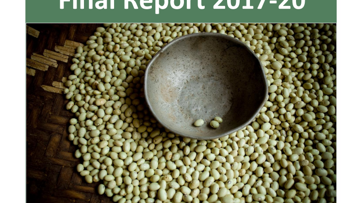 DERF final report 2017-20.pdf