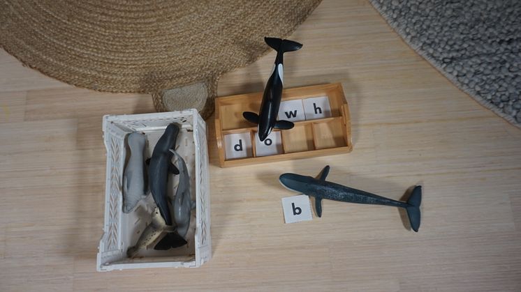 Schleich Figuren Meer_Tribu Box