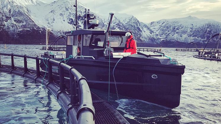 APN feltbåt MS Louise ved oppdrettsanlegg