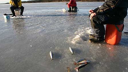 Succé för digitala fiskekort