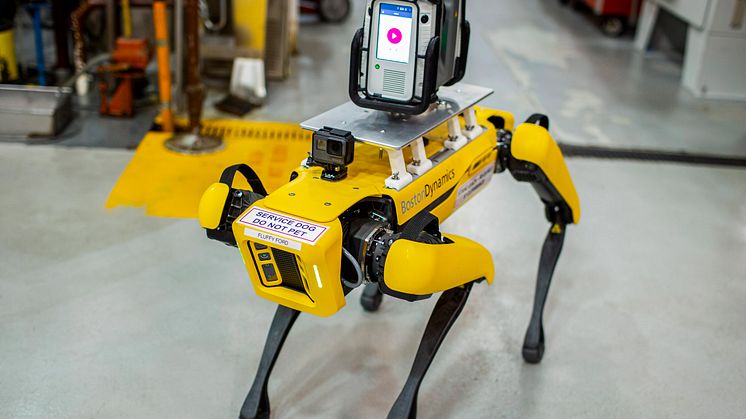Hund roboter 2020 Fluffy