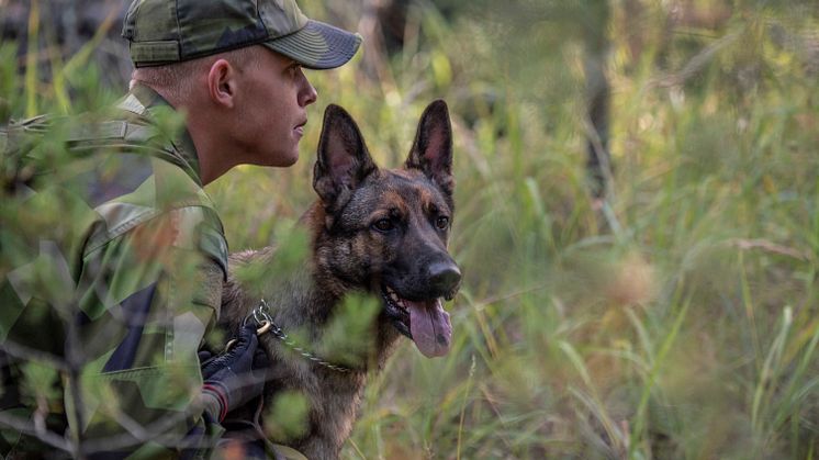 Foto: Therese Åkerstedt/Försvarsmakten