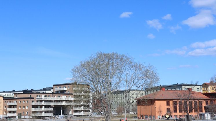 Piffl - Uppsala