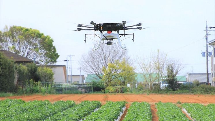 浜松市の複数のばれいしょ畑で始まったドローンによる実証散布 