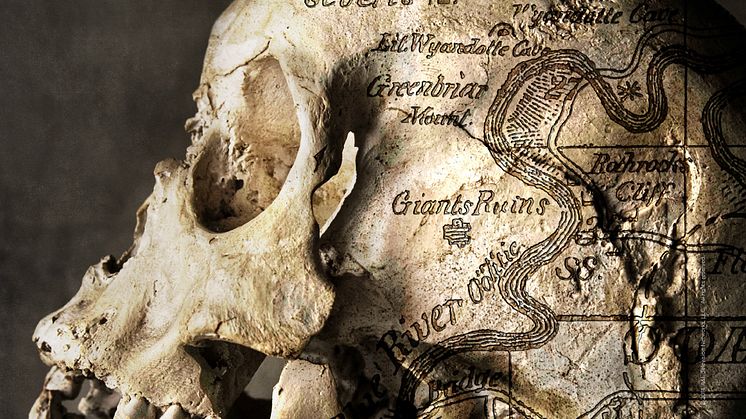 Search for the Lost Giants