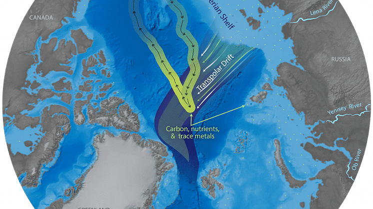 Expeditionsrutt och vattenströmmar i Arktiska havet.