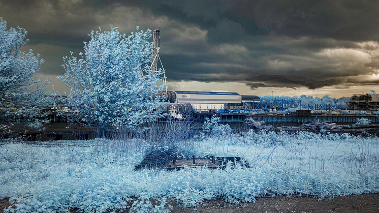 One of the photos from the Renewable Blue art project, taken using a specialised infrared camera.