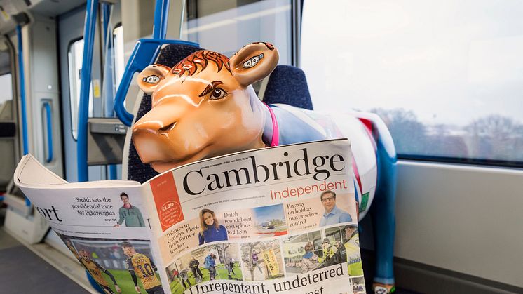 Cow-respondent travels on Thameslink