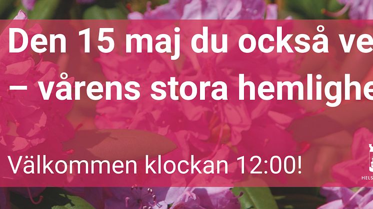 Något helt nytt öppnar på Knutpunkten