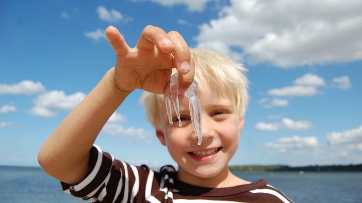 Kieler Kind mit Qualle