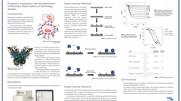 Biosensor Competition Study of Protein - Carbohydrate Interactions