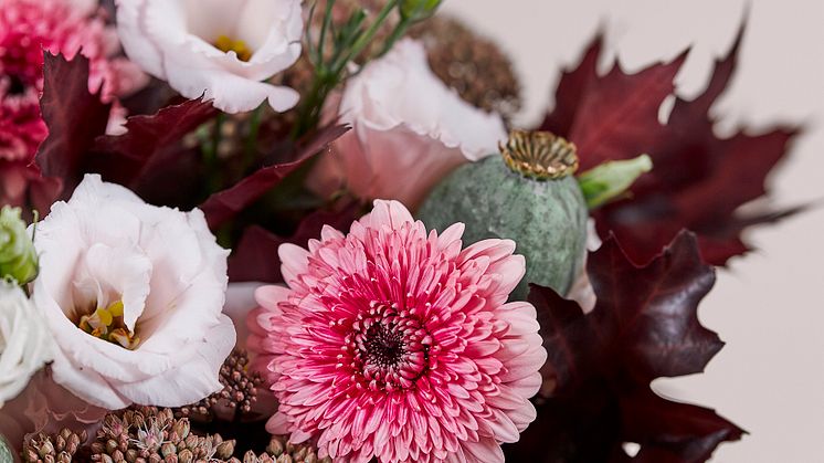 Blomsterlandet-blombud-jennies-hostlov