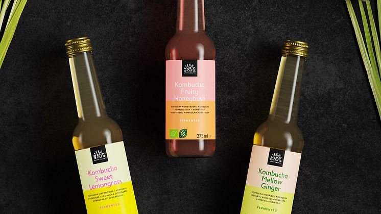 FERMENTERET TE HITTER: HOP MED PÅ BØLGEN MED NY KOMBUCHA FRA URTEKRAM