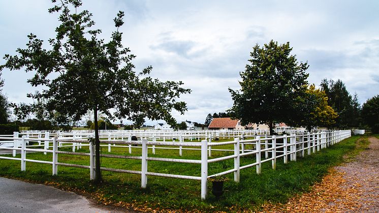 Hästhage