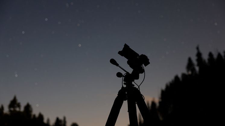 RF 24MM F1.4L VCM_BTS_Nature_Ambient 07.JPG
