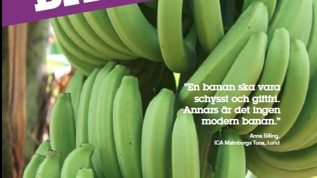 Schyssta bananer - Stor potential på den svenska marknaden