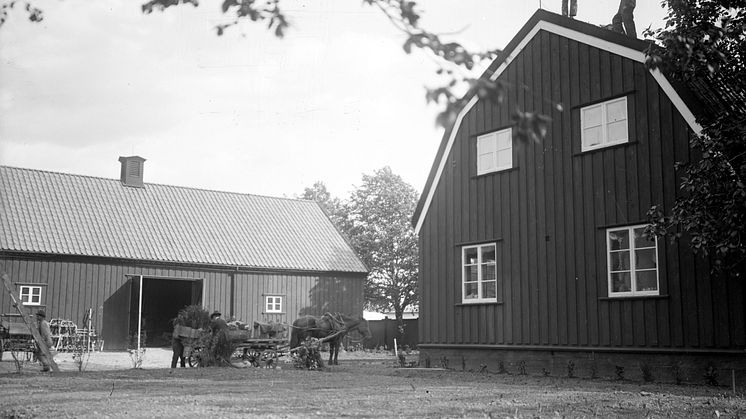 Idrottsgården under Lantbruksutställningen 1923 - Foto_Kamerareportage, TT