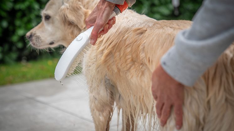 Sund og velplejet pels uden stress: Med tre stråletyper og behagelige silikonedyser sørger hansgrohe DogShower for rolig og grundig rengøring af din hund.