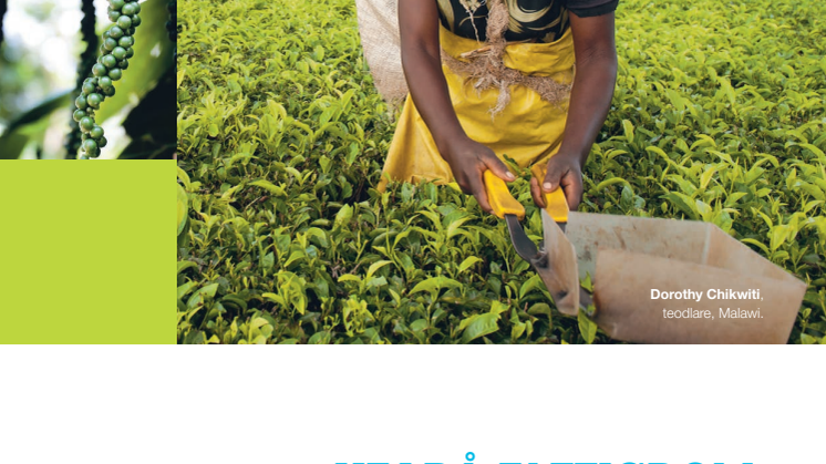 Fairtrade-rapporten 2013 - Hej då fattigdom!