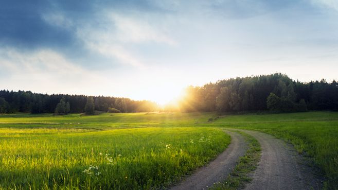Foto: iStock 