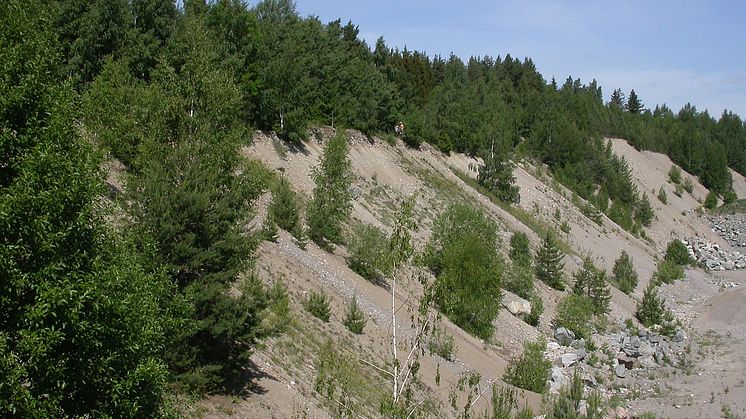 Torr sandmark
