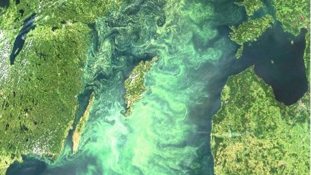 Algblomningen i Östersjön kommer allt tidigare