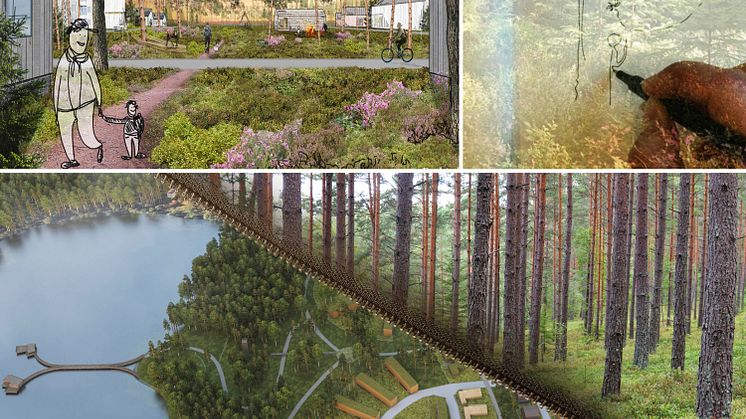 Tre arkitekter har fått möjlighet att skissa på bostadsområdet Östra Strand i Vaggeryd