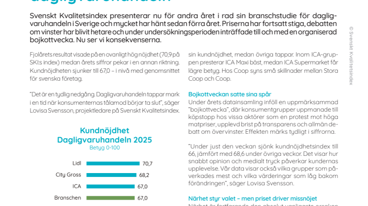 SKI Dagligvaruhandel 2025.pdf
