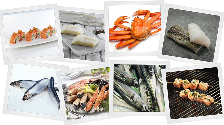 Norwegian seafood exports fall for the first time in 18 months