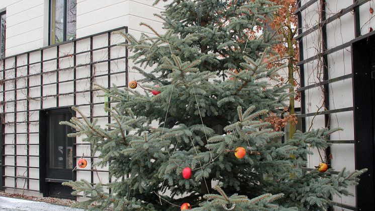 Weihnachtsgeschenke und Spenden für Bärenherz - Kleiner Rückblick in Bildern