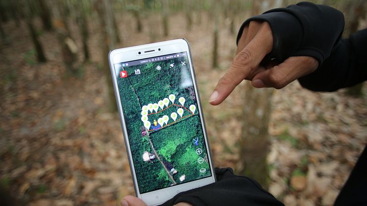 Koko toimitusketjun digitalisointi mahdollistaa luonnonkumin täyden jäljitettävyyden. © GIZ/Canopy Indonesia