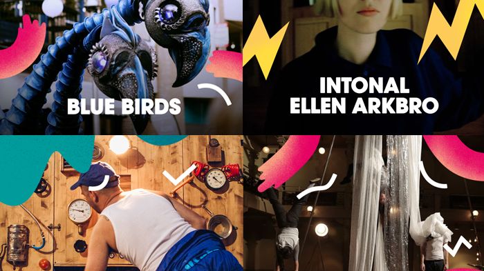De nederländska fåglarna Blue Birds, elektroniska musikartisten Ellen Arkbro, upplevelsen The Trip med kompaniet Tombs Creatius och en föreställning med Kollektiv Knaster är några av godbitarna i årets kulturprogram på Malmöfestivalen.