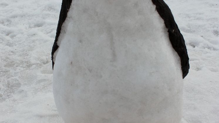Fin pingvin skulpterad i snö vid Barnens Snöskulpturfestival. 